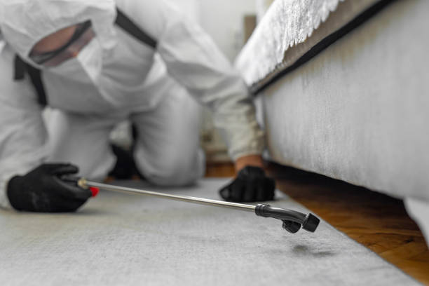 Professional Bed Bug Control technician working in Holyoke, CO