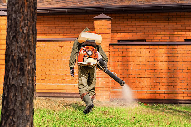 Trusted Cockroach Control service in Holyoke, CO - Nex Pest Control